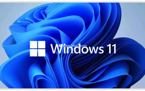 iis10.0express可以卸载吗