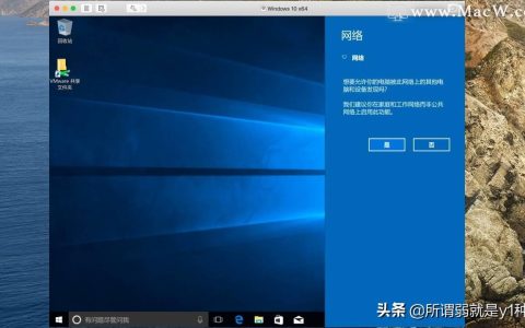 VMware11支持哪些系统