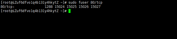 centos7查看端口号被哪个进程占用