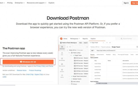 Postman汉化插件下载与安装教程有哪些？