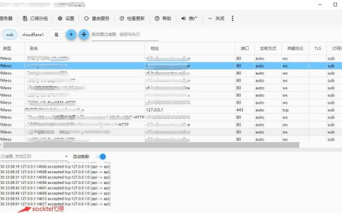 Sockscap软件使用方法是什么？