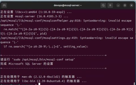 sudo apt install命令用法？Linux系统安装软件教程。