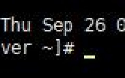 wget https下载的正确命令是什么？如何使用？