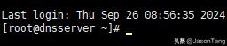 wget https下载的正确命令是什么？如何使用？