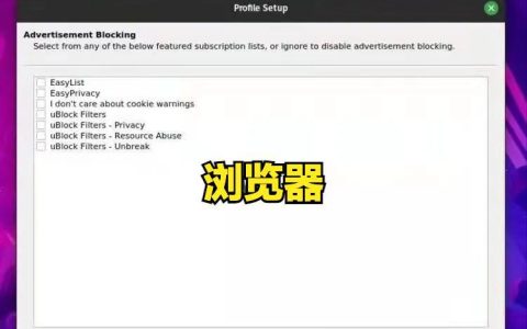 Linux下推荐哪些浏览器？