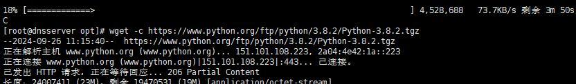 wget https下载的正确命令是什么？如何使用？