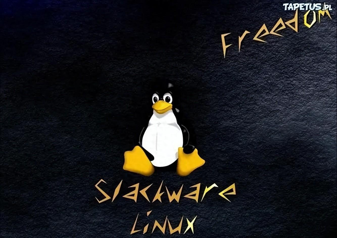 linux安装ping命令步骤？如何测试网络？