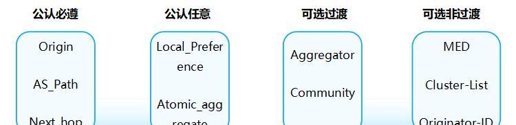 BGP是什么意思？在网络安全中有什么作用？