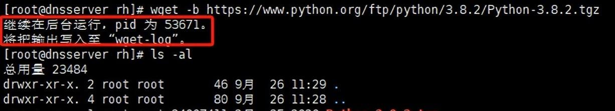 wget https下载的正确命令是什么？如何使用？