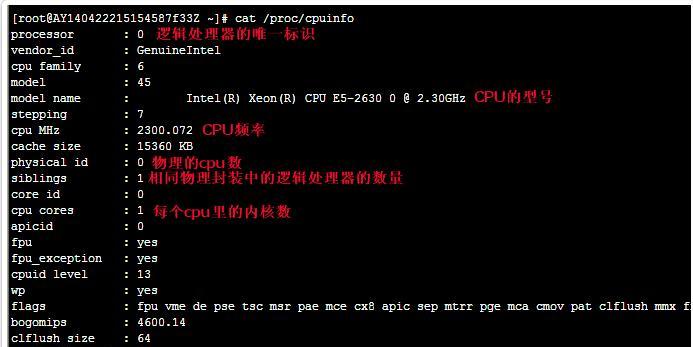 vps测速工具有哪些？如何准确测试速度？