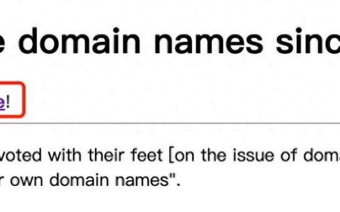 哪家平台域名注册1元优惠？如何挑选优质域名？