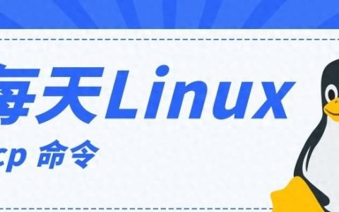 如何从服务器下载文件到本地？远程文件传输。