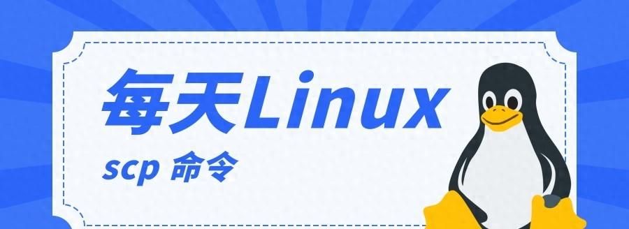 如何从服务器下载文件到本地？远程文件传输。