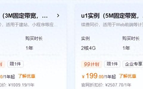 轻量级服务器为何价格便宜？性价比分析与选择。