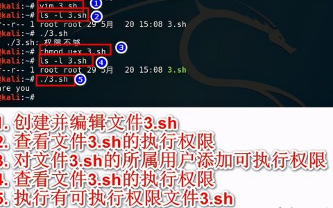 如何编写高效的Shell脚本？有哪些技巧？