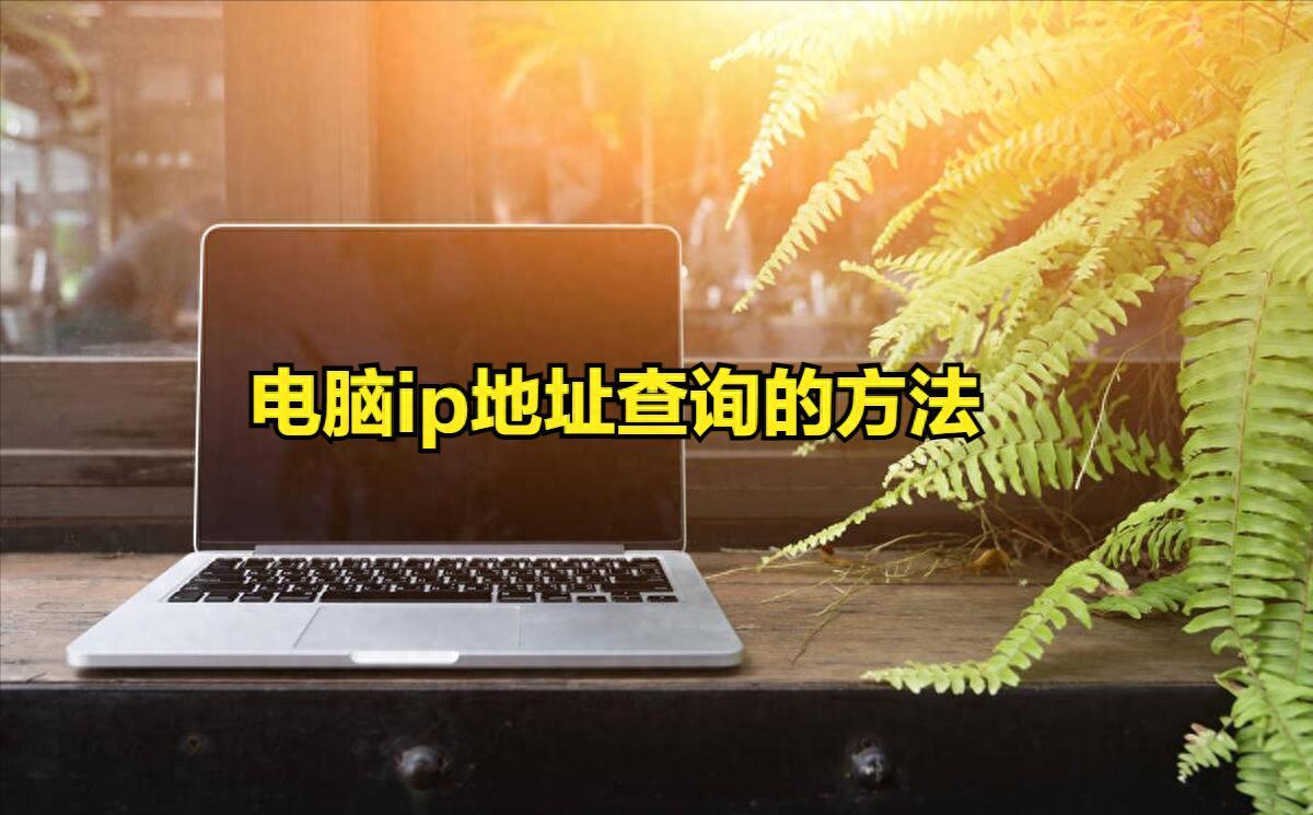 服务器IP地址找不到怎么办？网络故障排查指南。